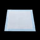 Disposable Underpad McKesson Classic Plus 23 X 24 Inch Fluff / Polymer Light Absorbency