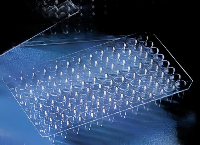 96-Well Microplate Corning® 6511 Thermowell® Round Well 200 µL Clear NonSterile