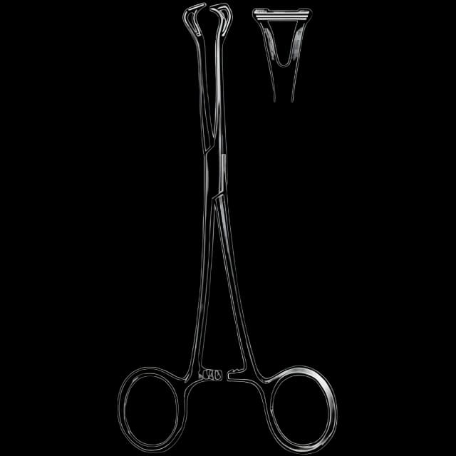 Grasping Forceps Surgi-OR™ Babcock 6-1/4 Inch Length Mid Grade Stainless Steel NonSterile Ratchet Lock Finger Ring Handle Straight Triangular Fenestrated Tips with Horizontal Serrations
