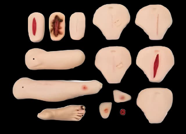 Wound Care and Assessment Set