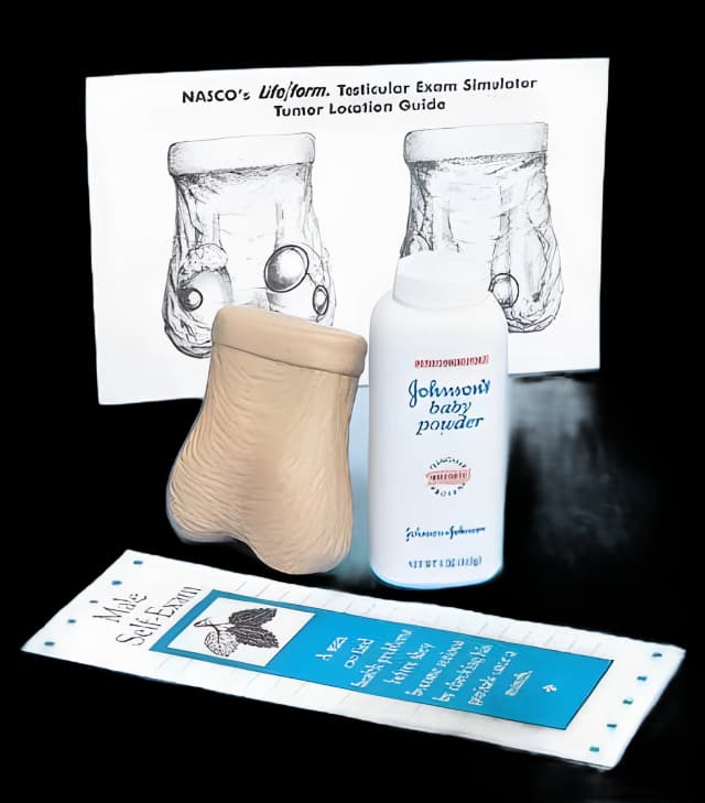 Testicular Exam Simulator Life/form® Male