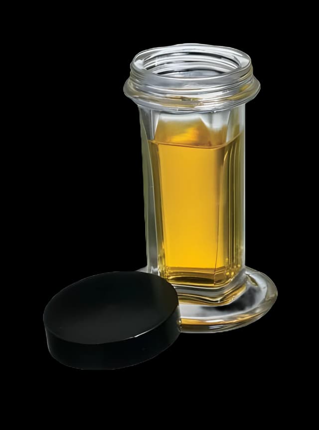 Fisher Scientific 10-Slide Glass Staining Jar