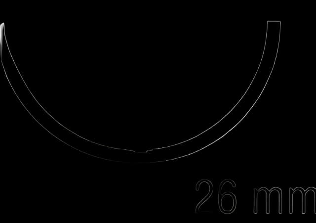 Absorbable Suture with Needle Chromic Gut GS -10 1/2 Circle Reverse Cutting Needle Size 3 - 0