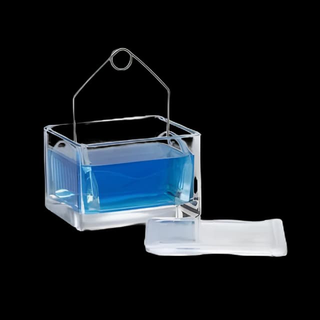 Wheaton Glass Staining Dish with Cover - Lab Slide Staining