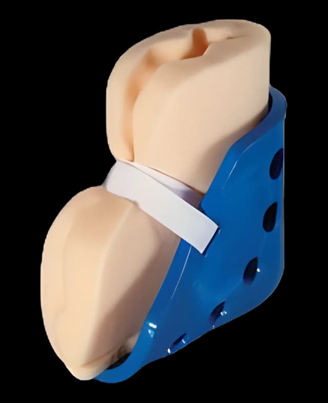 Heel Protection Boot One Size Fits Most Blue / Beige