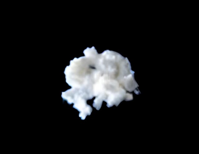 Hemostatic Agent Avitene™ Flour 1 Gram Sterile