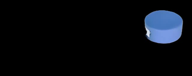 Ergonomic Bath Sponge with Long Handle - Essentials®