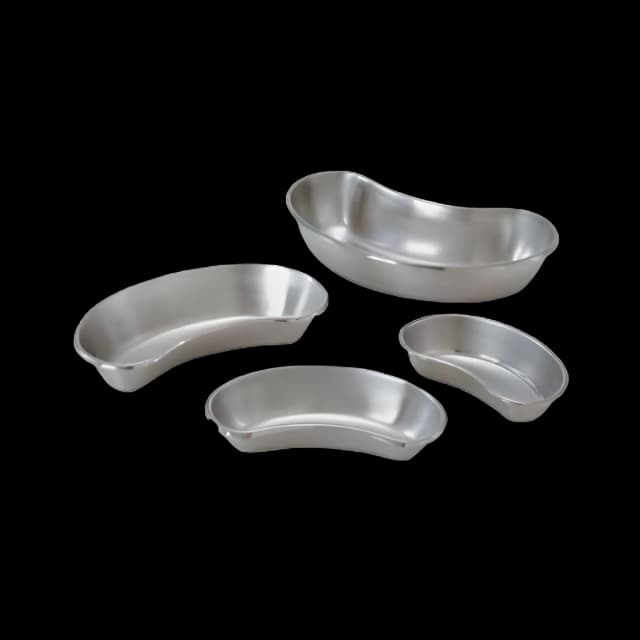 Emesis Basin Silver 1200 cc Stainless Steel Reusable