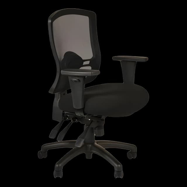 Ergonomic Medical Office Chair - Alera Etros Series