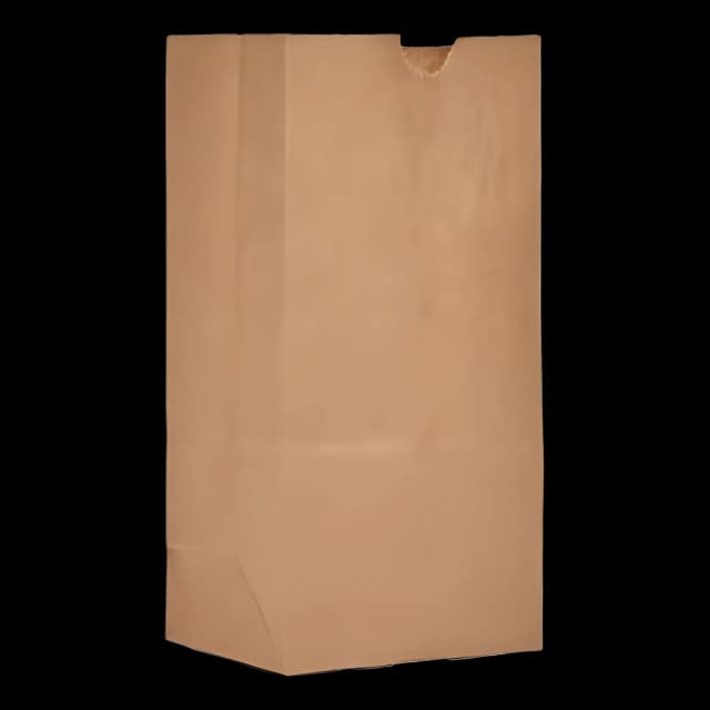 Eco-Friendly Kraft Paper Bags for Medical/Retail Use