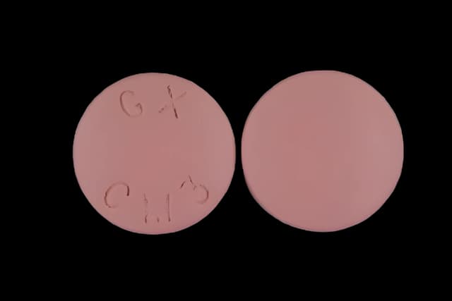 Malarone® Atovaquone / Proguanil HCl 250 mg - 100 mg Tablet Bottle 100 Tablets