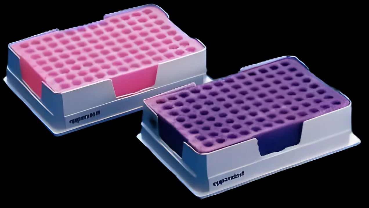 Eppendorf™ PCR-Cooler Starter Set for Laboratory Use - 1 Violet and 1 Blue