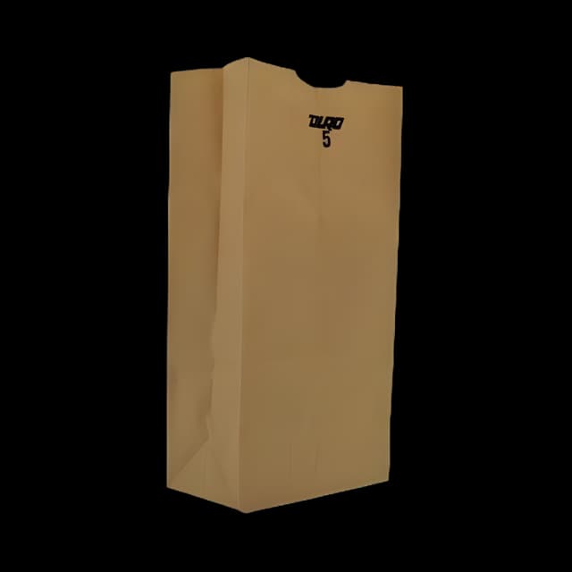 Grocery Bag Duro® Brown Kraft Recycled Paper #5