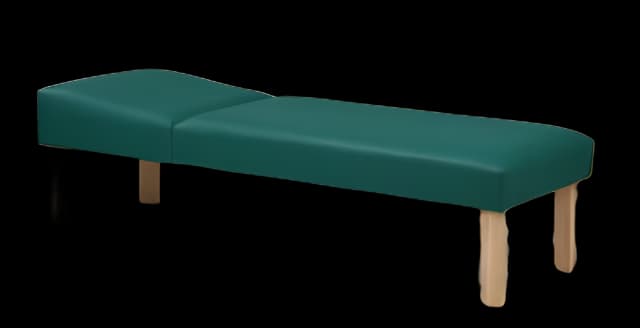 Hardwood Leg Couch Recovery Couch Model 3620 Fixed Height - 3620-24-DT