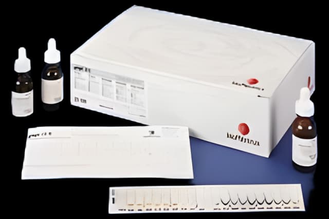 Microorganism Test Kit API® 20 E Enterobacteriaceae 25 Tests CLIA Non-Waived - 20100