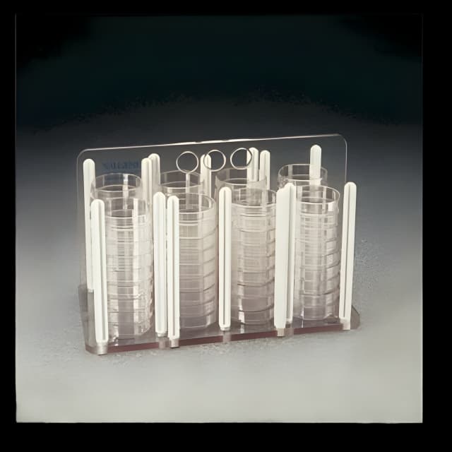 Nalgene™ 100mm Petri Dish Rack 5920-0060 - Thermo Scientific