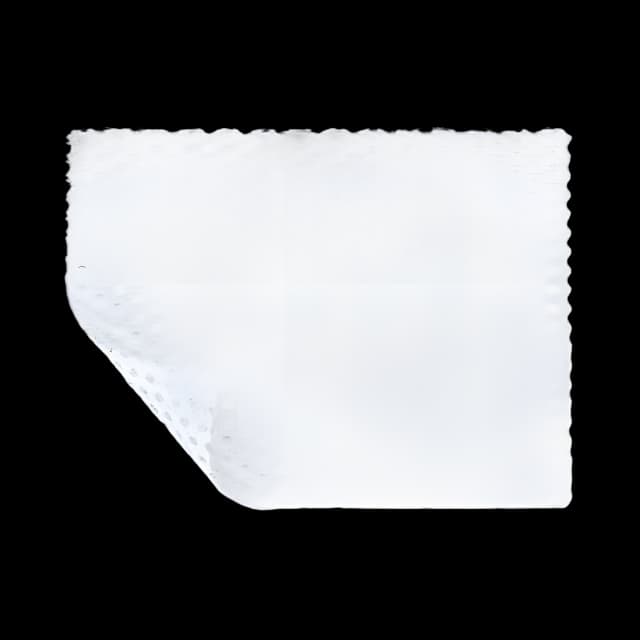 Wound Contact Layer Dressing Mepitel® 2 X 3 Inch Sterile