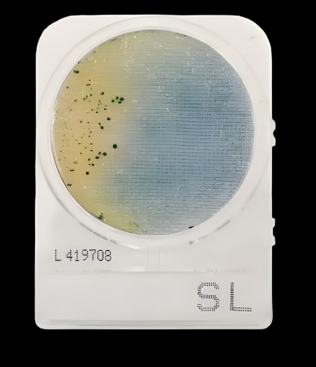 Culture Media CompactDry™ Salmonella Mini Plate