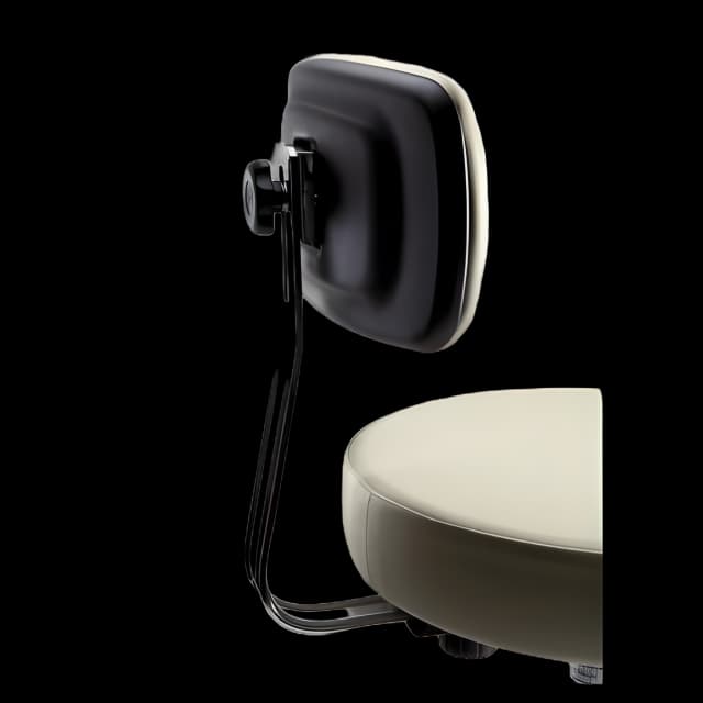 Ritter® 278 Stool Backrest Kit - Healing Waters Upholstery