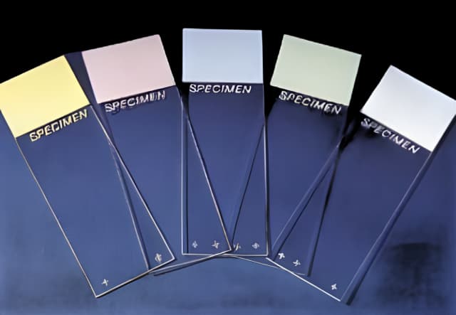 Charged Microscope Slide Superfrost® Plus 25 X 75 mm Frosted End