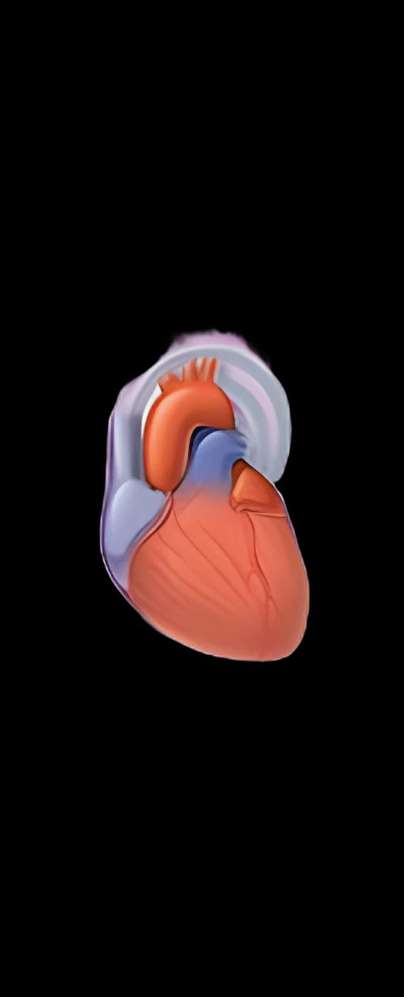 Patient Brochure Krames® Transoesophageal Echocardiography (TEE) AHA