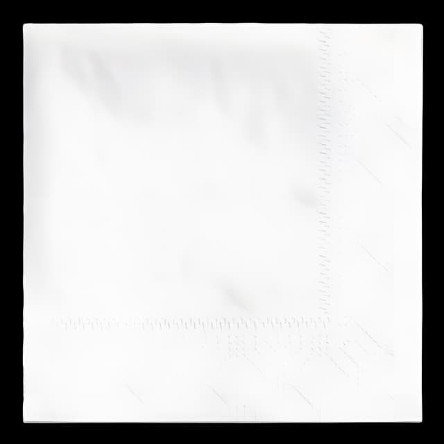 Beverage Napkins, 2-Ply 9 1/2 x 9 1/2, White, Embossed, 1000/Carton