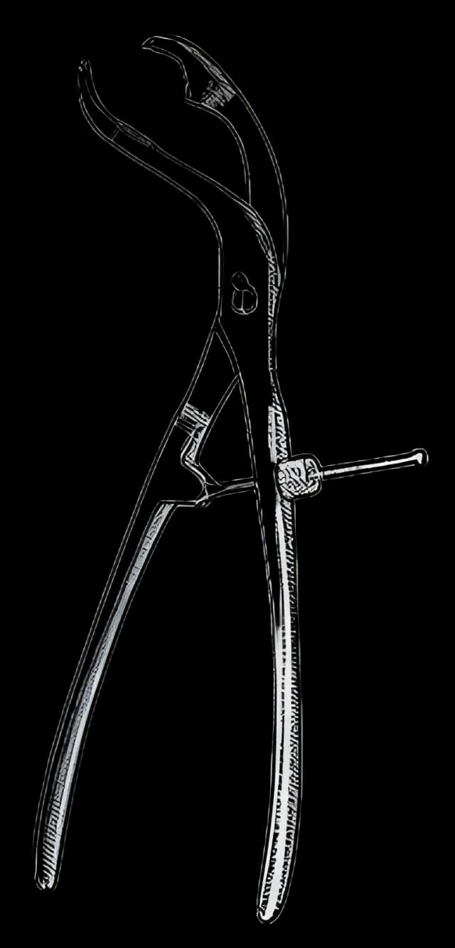 Sklar Verbrugge Bone Holding Forceps 11" - OR Grade