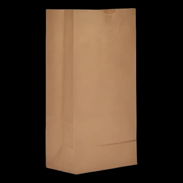Eco-Friendly Kraft Paper Grocery Bags for Medical Use