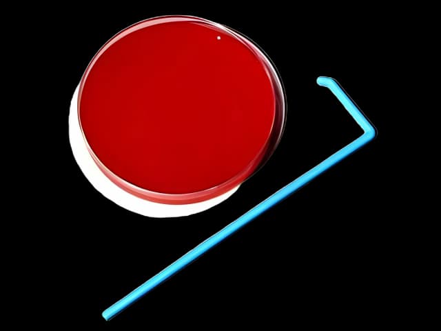 Inoculating Spreader Polystyrene Integrated Handle Sterile