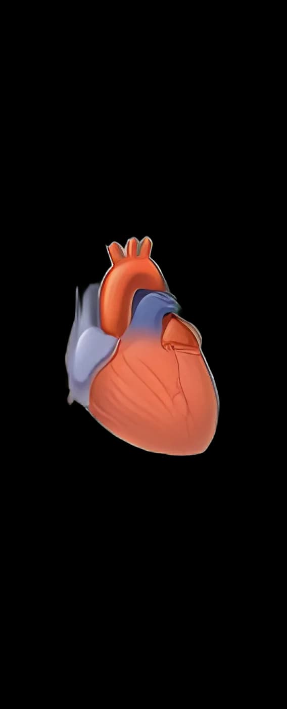 Patient Brochure Krames® Cardioversion AHA
