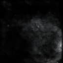 Cypress 22x22 Pet Underpad - Heavy Absorbency, Leakproof