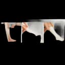 Elastic Tubular Support Bandage Tubigrip® 2-3/4 Inch X 1 Yard Medium Arm / Small Ankle Pull On Natural NonSterile Size C Standard Compression