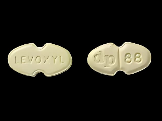 Levoxyl 88 mcg Tablets - Thyroid Hormone Therapy